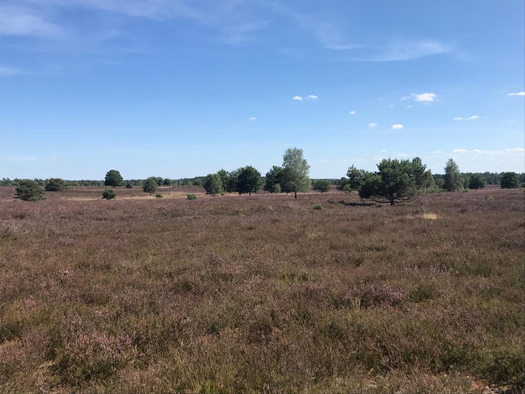 Ferienwohnung Calluna Buchholz in der Nordheide Exteriér fotografie